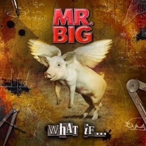 Mr. Big / What If... (CD+DVD, DELUXE EDITION)