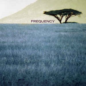 Frequency / Frequency