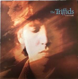 The Triffids / Calenture (2CD, 미개봉)