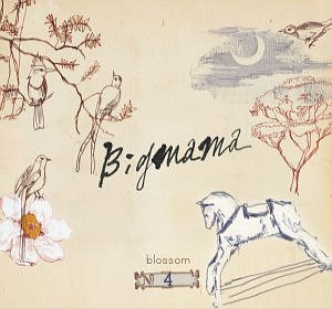 빅마마(Big Mama) / 4집-Blossom (초도한정 박스 패키지)