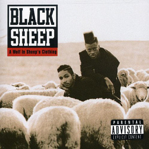 Black Sheep / A Wolf In Sheep&#039;s Clothing
