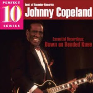 Johnny Copeland ‎/ Down On Bended Knee (미개봉)