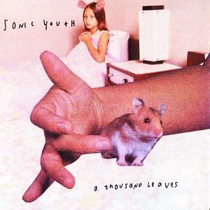 Sonic Youth / A Thousand Leaves (미개봉)