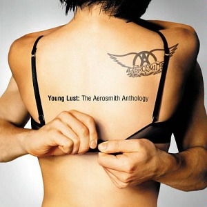 Aerosmith / Young Lust: The Aerosmith Anthology (2CD, 미개봉)