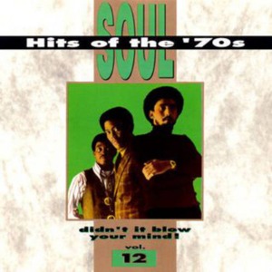V.A. / Soul Hits Of The &#039;70s - Didn&#039;t It Blow Your Mind, Vol. 12
