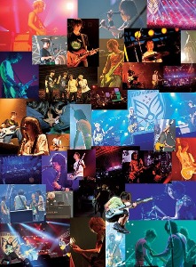 [DVD] BUMP OF CHICKEN / 結成20周年記念 Special Live「20」