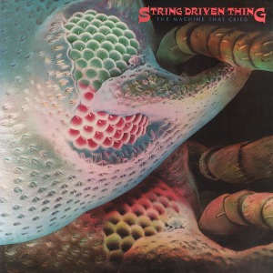 String Driven Thing / The Machine That Cried
