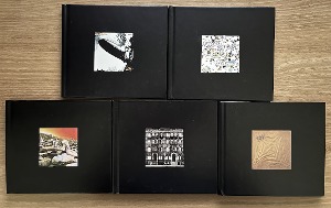 Led Zeppelin / The Complete Studio Recordings (10CD)