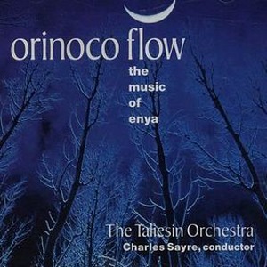 Taliesin Orchestra / Orinoco Flow: Music of Enya (홍보용)