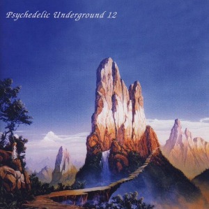 V.A. / Psychedelic Underground 12 (LIMITED EDITION)