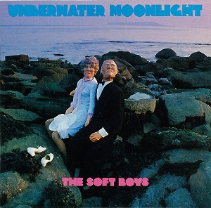 The Soft Boys / Underwater Moonlight (2CD)