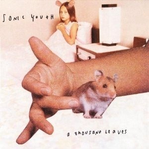 Sonic Youth / A Thousand Leaves