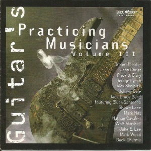 V.A. / Guitar&#039;s Practicing Musicians Volume 3
