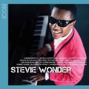 Stevie Wonder / ICON (미개봉)