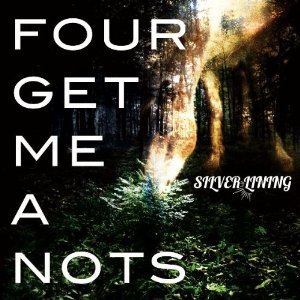 Four Get Me A Nots / Silver Lining (초도 한정 뮤직비디오 DVD-R 증정) (미개봉)