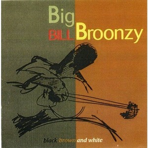 Big Bill Broonzy / Black, Brown And White