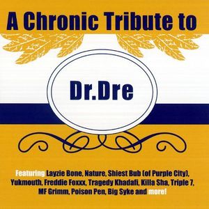 V.A. / A Chronic Tribute to Dr. Dre (미개봉)