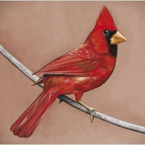 Alexisonfire / Old Crows/Young Cardinals (DIGI-PAK)
