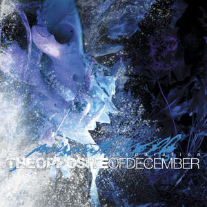 Poison The Well / The Opposite Of December... A Season Of Separation