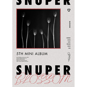 스누퍼(Snuper) / Blossom (5th Mini Album, 홍보용)