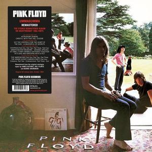 [LP] Pink Floyd / Ummagumma (2016 Reissue, 180g, 2LP, 미개봉) 