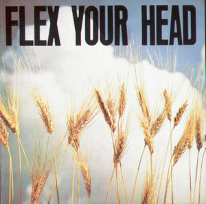 V.A. / Flex Your Head