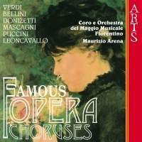 V.A. / Famous Opera Choruses