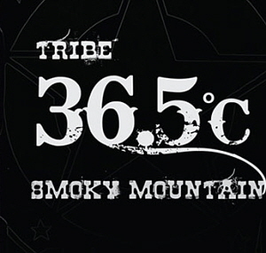 36.5˚C (최민수) / Smoky Mountain (DIGITAL SINGLE)